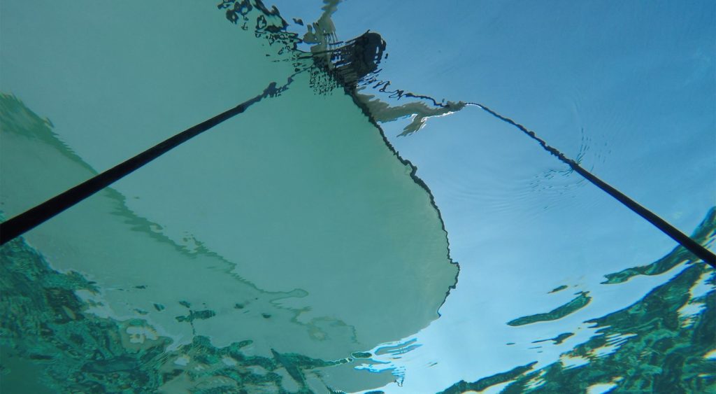 Jana Winderen hydrophone recording for the project The Art of Listening: Under Water, 2019.