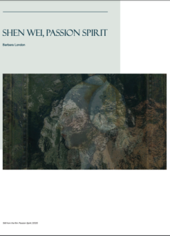 shen wei cover