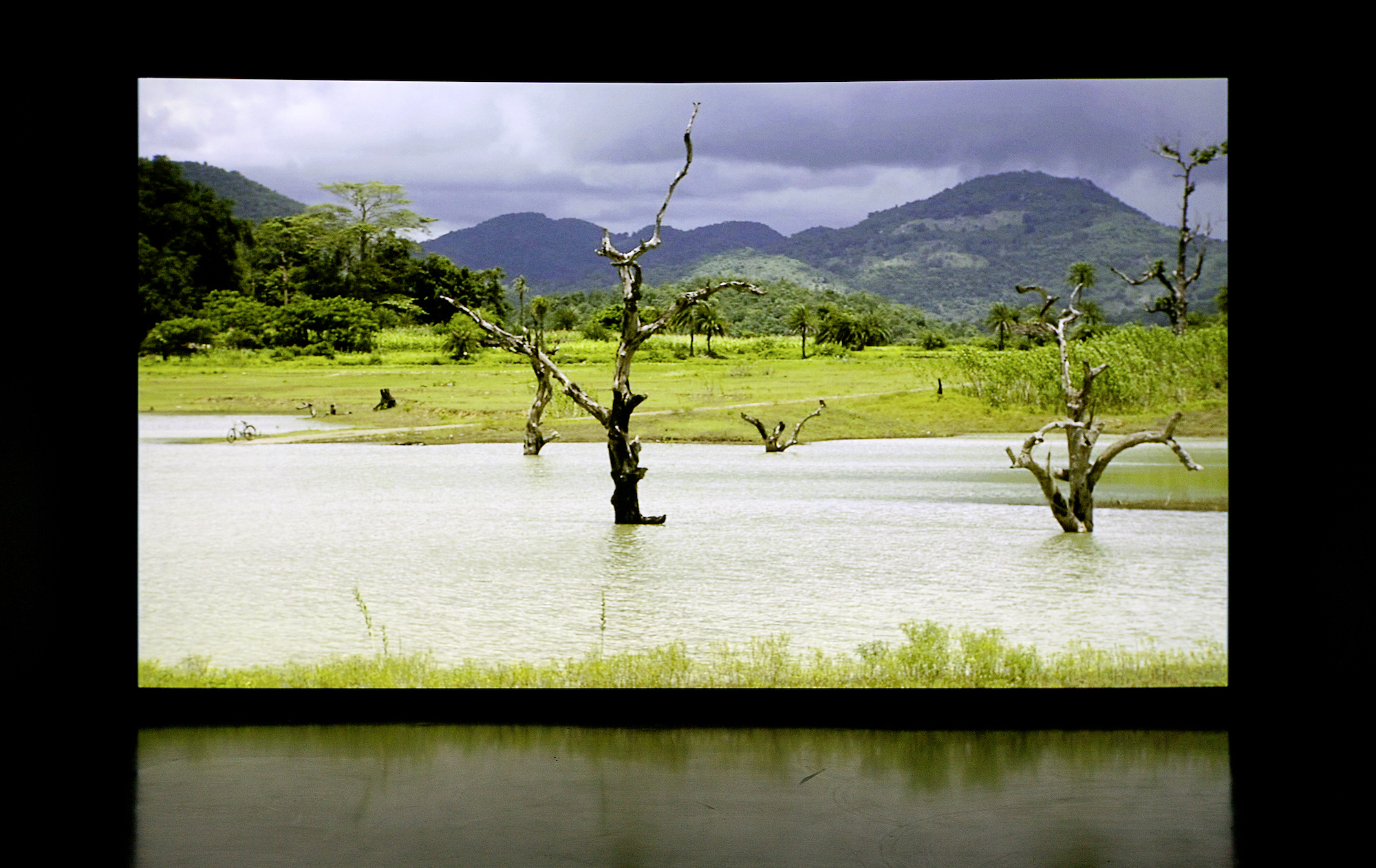 The Scene of Crime from The Sovereign Forest. 2012-ongoing. Multimedia installation. Image courtesy the artist and the Marian Goodman Gallery. ©Amar Kawar.